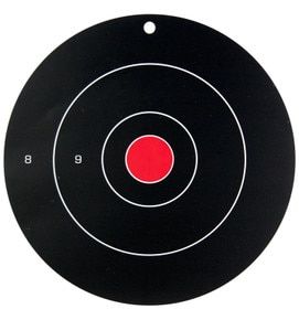 Birchwood Casey Dirty Bird 12” Target with bullseye design